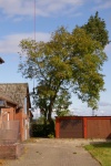 20191005_IMGP2607.JPG