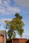 20191005_IMGP2609.JPG