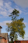 20191005_IMGP2610.JPG