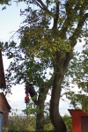 20191005_IMGP2614.JPG
