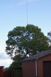20191005_IMGP2623.JPG