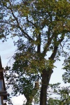 20191005_IMGP2637.JPG