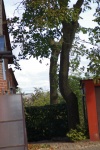 20191005_IMGP2639.JPG